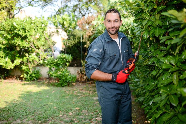 5 Major Concerns of Landscape Design Businesses