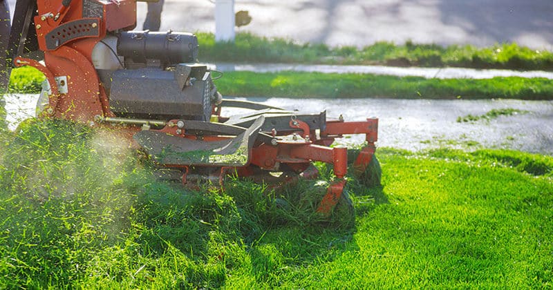 Mowing Grass