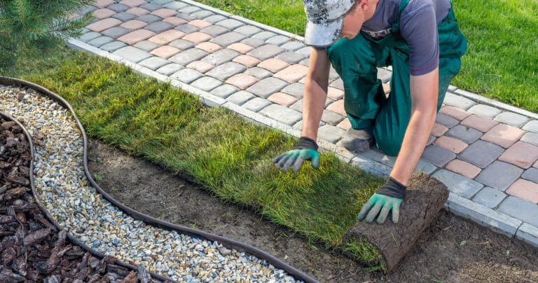Landscaper Laying Down Sod
