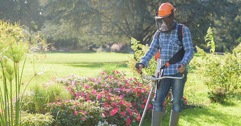 landscaper trimming weeds