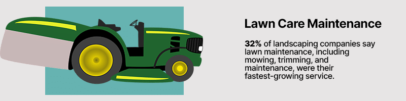 Lawn care maintenance growing
