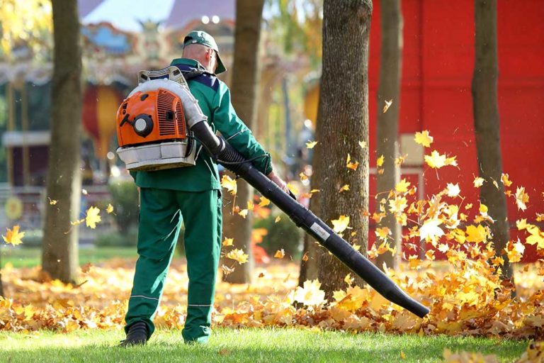 What Do Landscapers Do in the Off-Season? (They Work!)