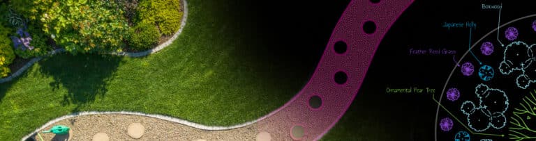 Creator background