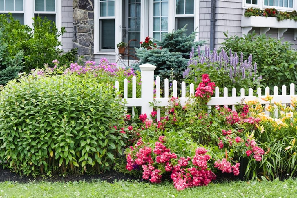 Eco-conscious Gardens