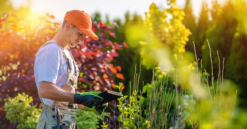 landscaper-on-the-job-looking-on-tablet
