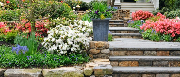 spring flowers with stone walkway